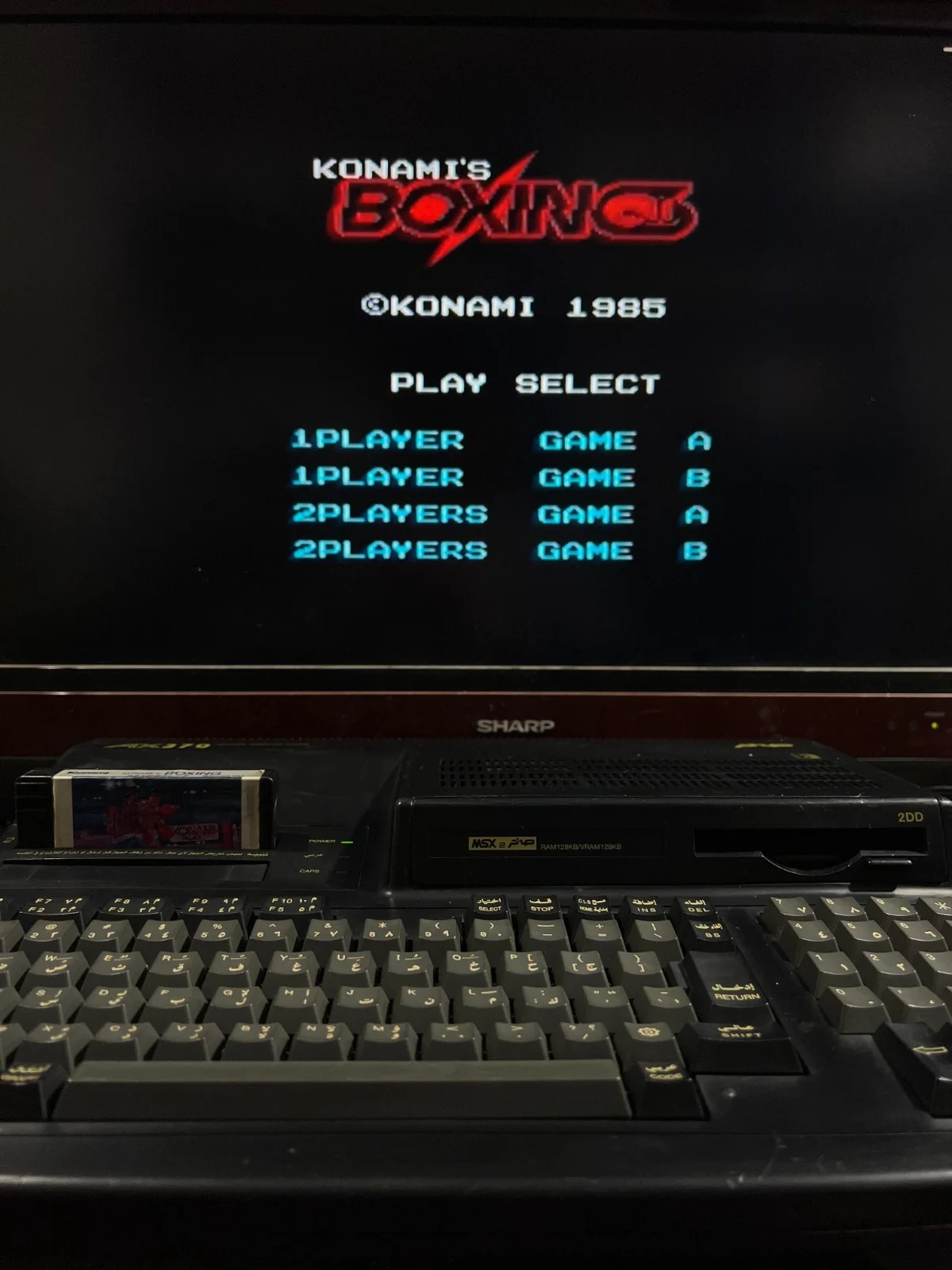 Sanyo Wavy Computer AX370