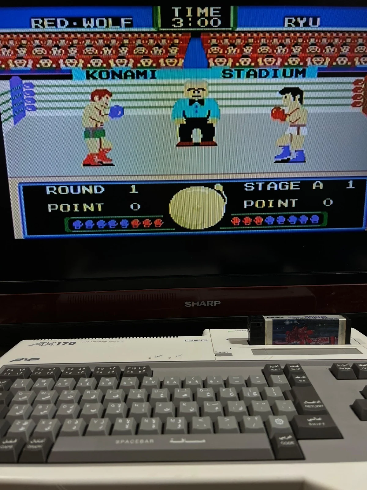 Sanyo Wavy AX170 Personal Computer