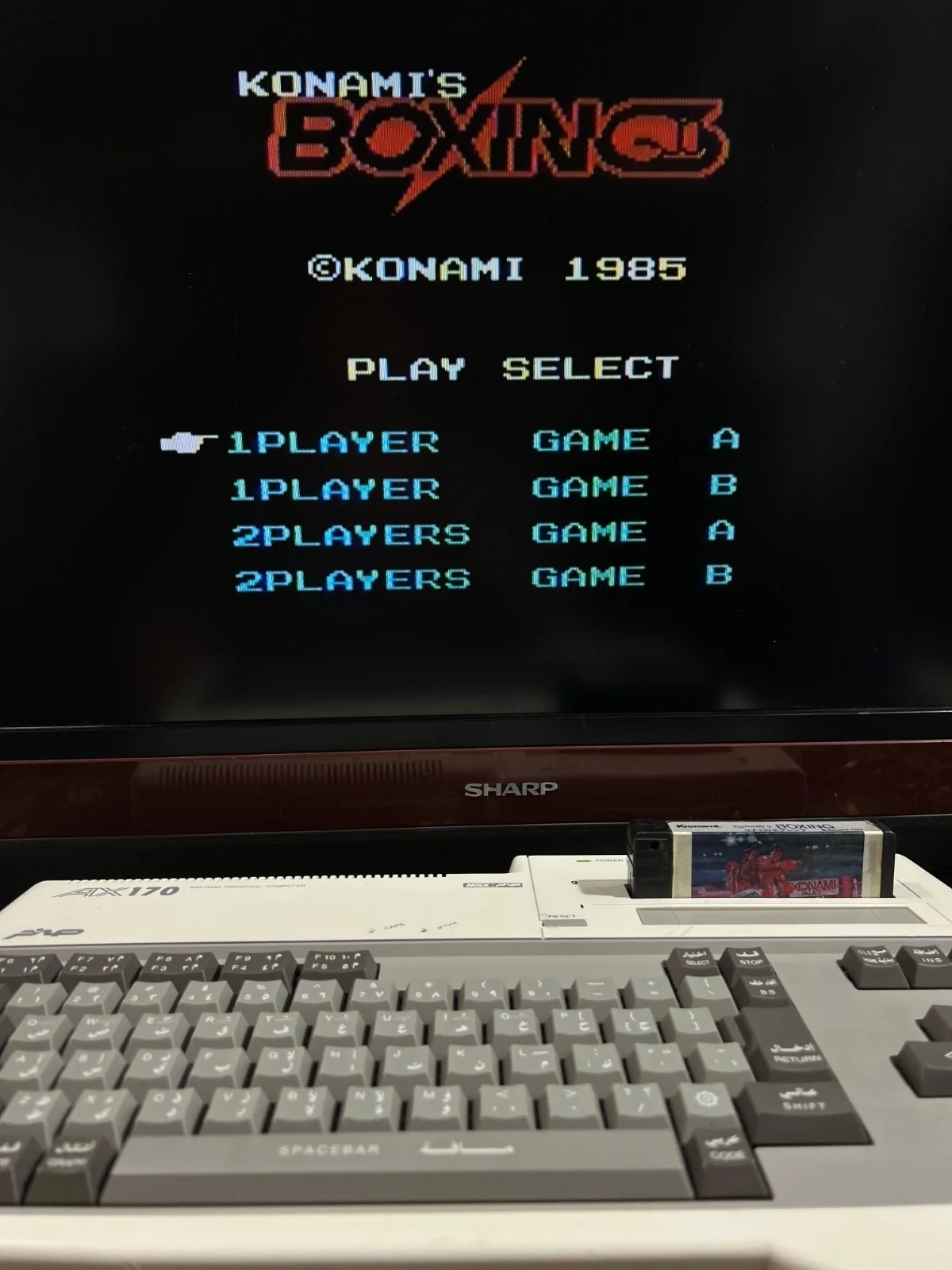 Sanyo Wavy AX170 Personal Computer