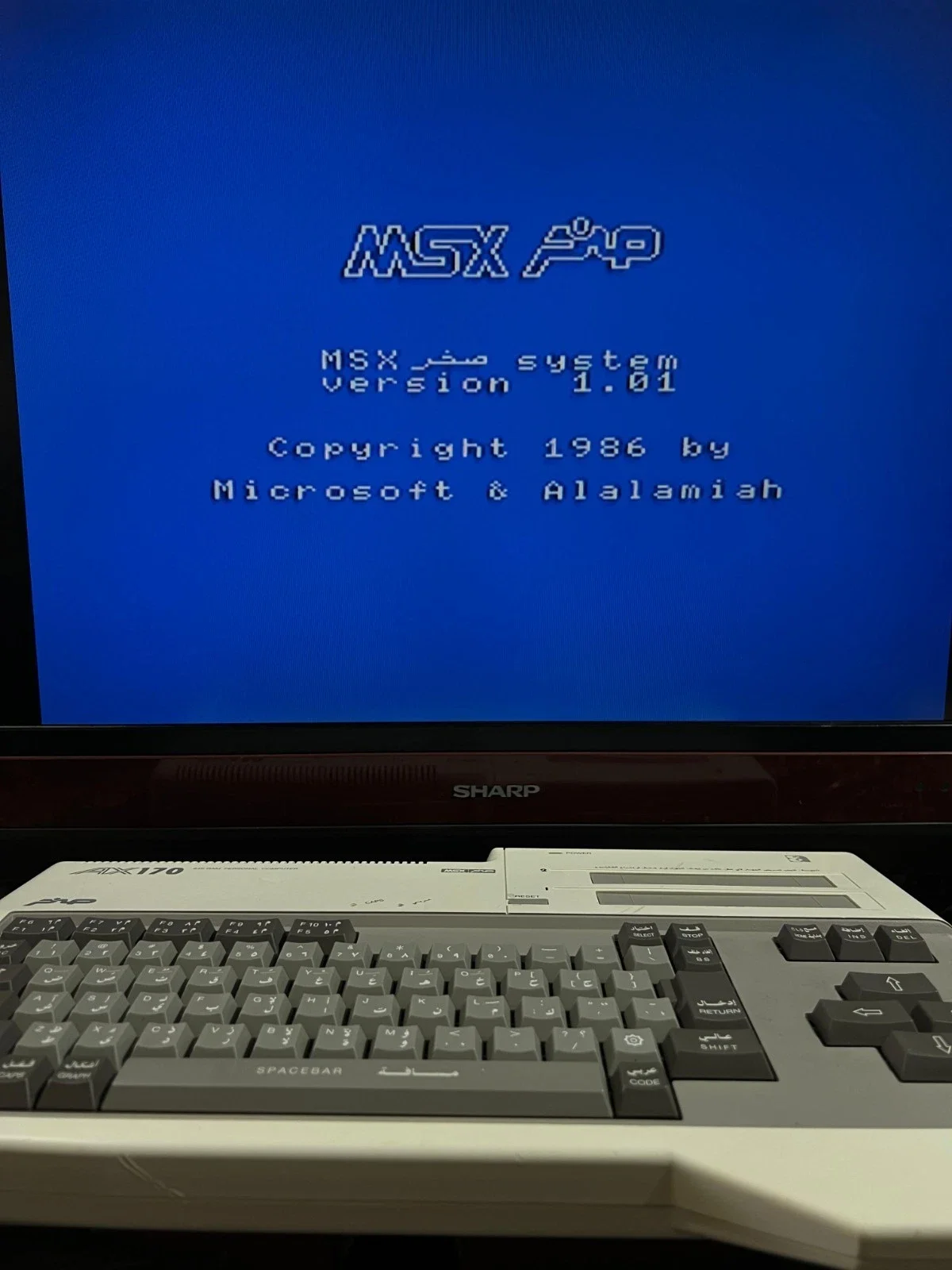 Sanyo Wavy AX170 Personal Computer