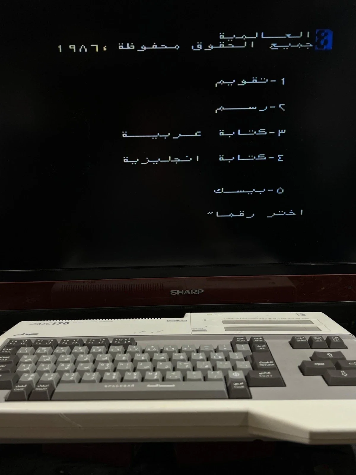 Sanyo Wavy AX170 Personal Computer