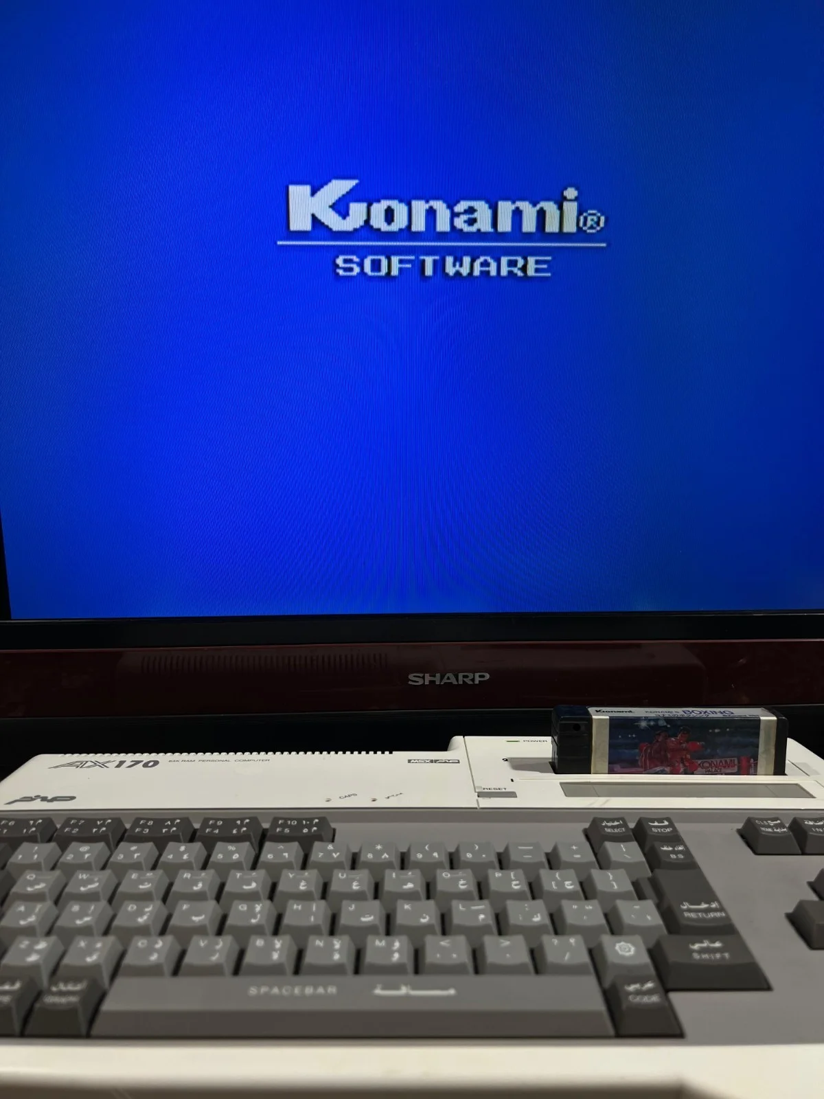 Sanyo Wavy AX170 Personal Computer