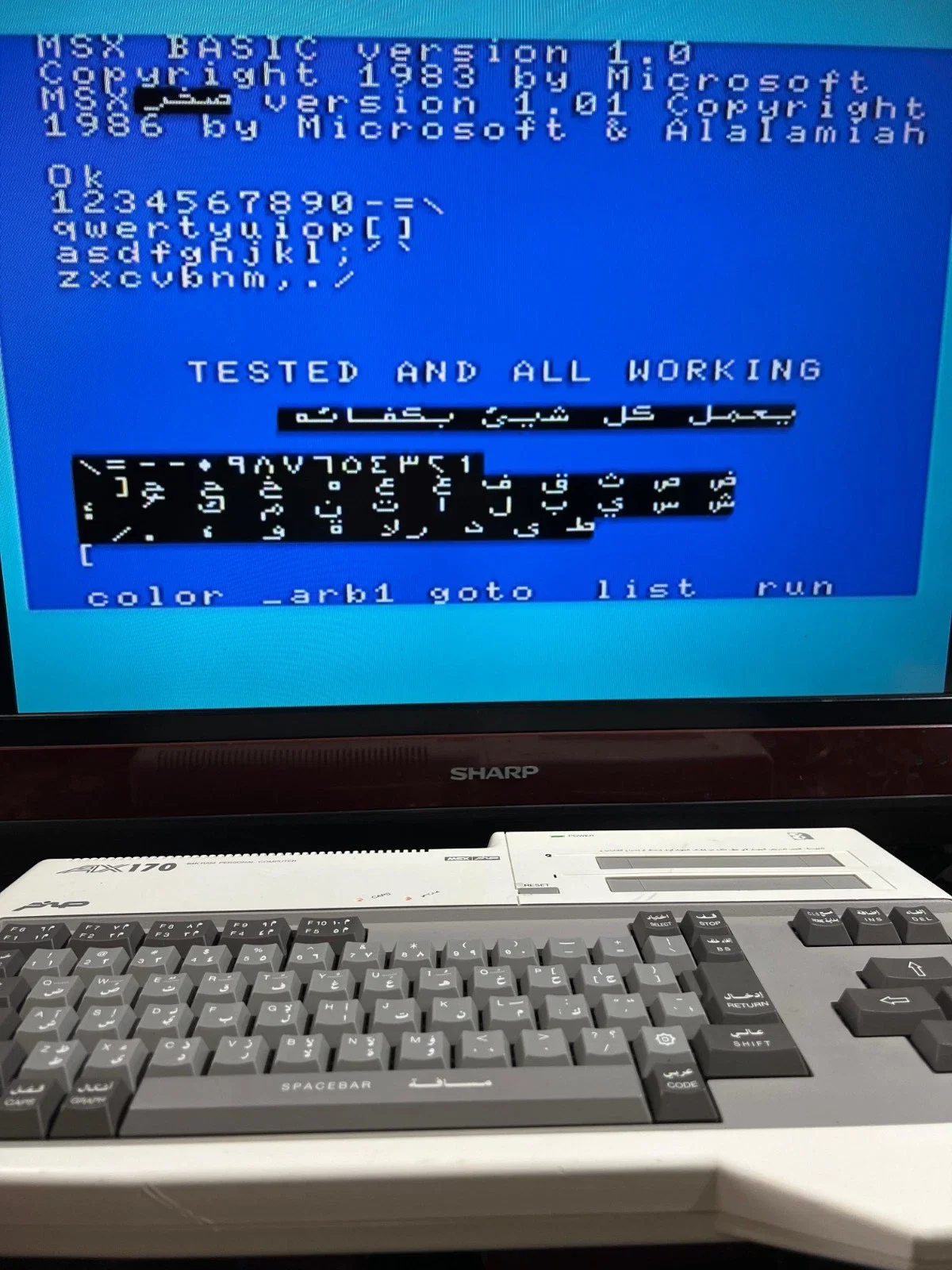Sanyo Wavy AX170 Personal Computer