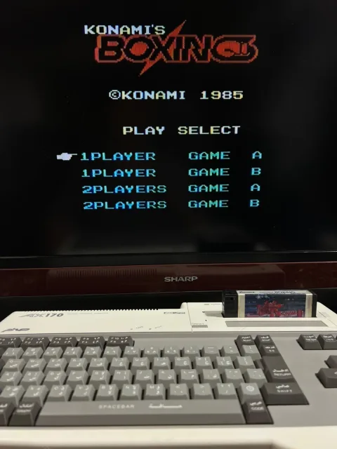 Sanyo Wavy AX170 Personal Computer