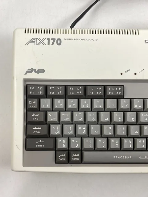 Sanyo Wavy AX170 Personal Computer