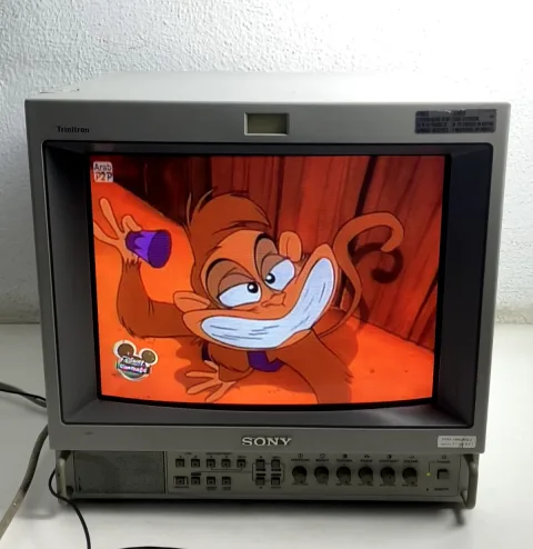 Sony PVM-14M2MDU Professional Monitor 13-inch