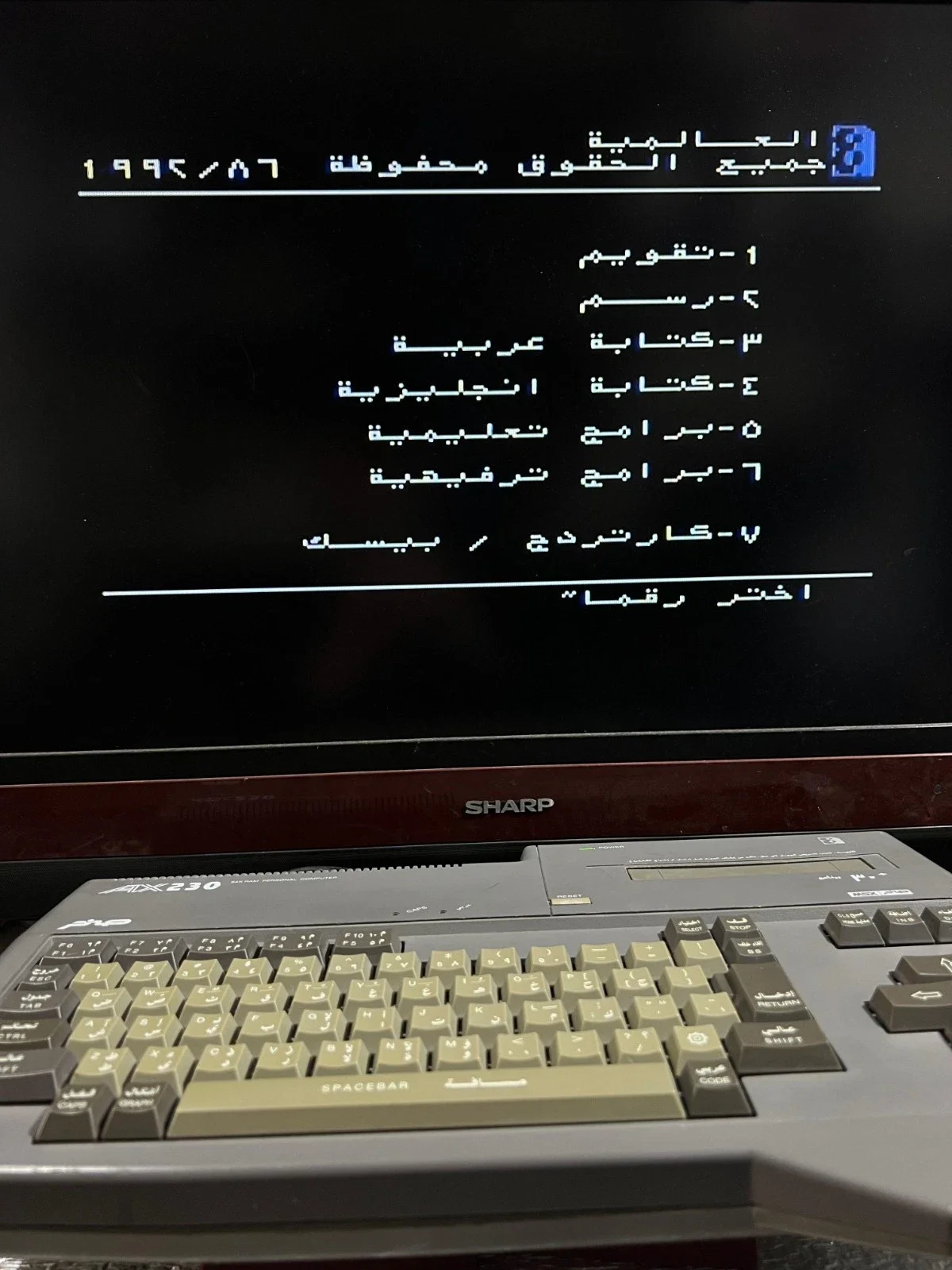 Sanyo Wavy AX230 Computer