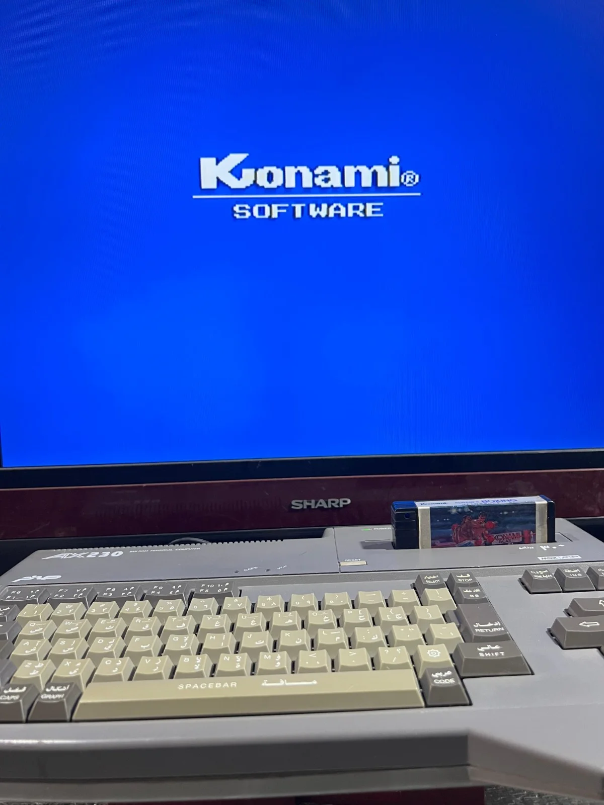 Sanyo Wavy AX230 Computer