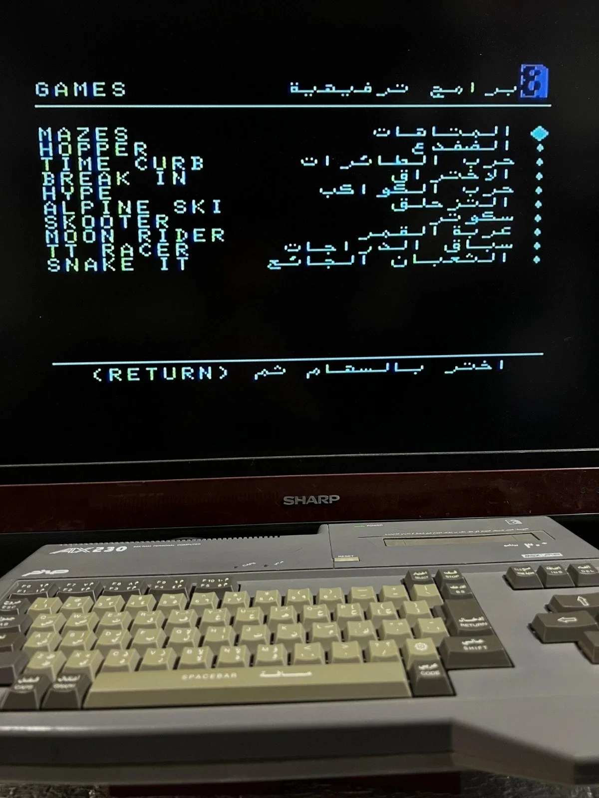 Sanyo Wavy AX230 Computer