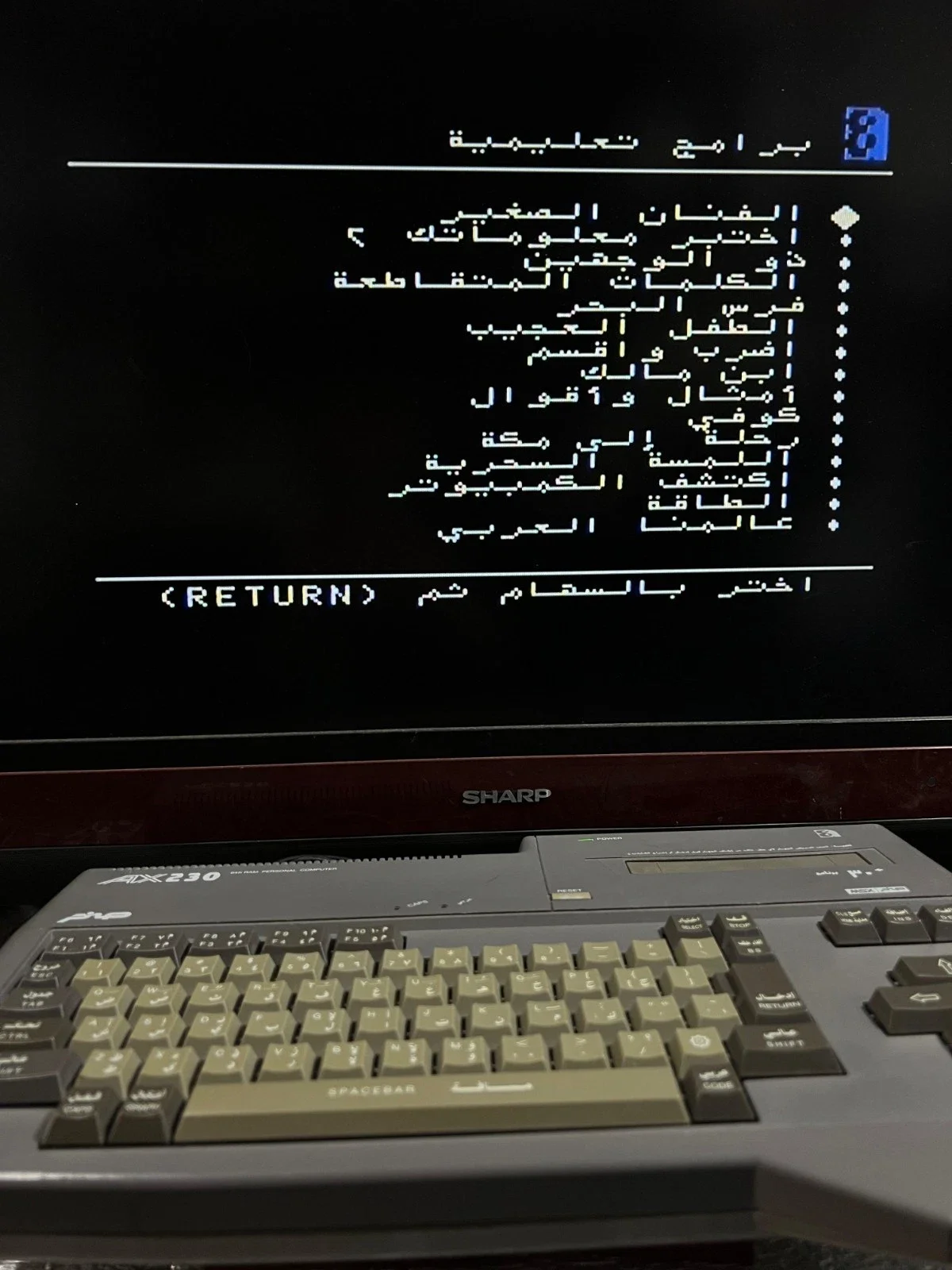 Sanyo Wavy AX230 Computer