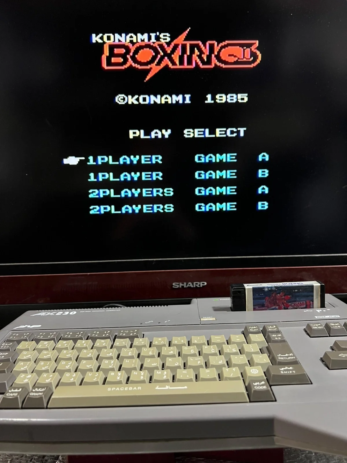 Sanyo Wavy AX230 Computer