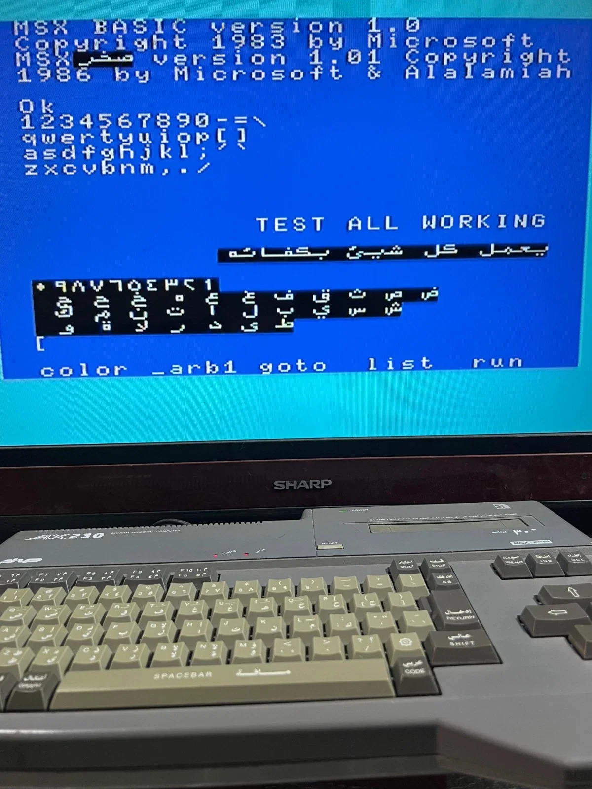 Sanyo Wavy AX230 Computer