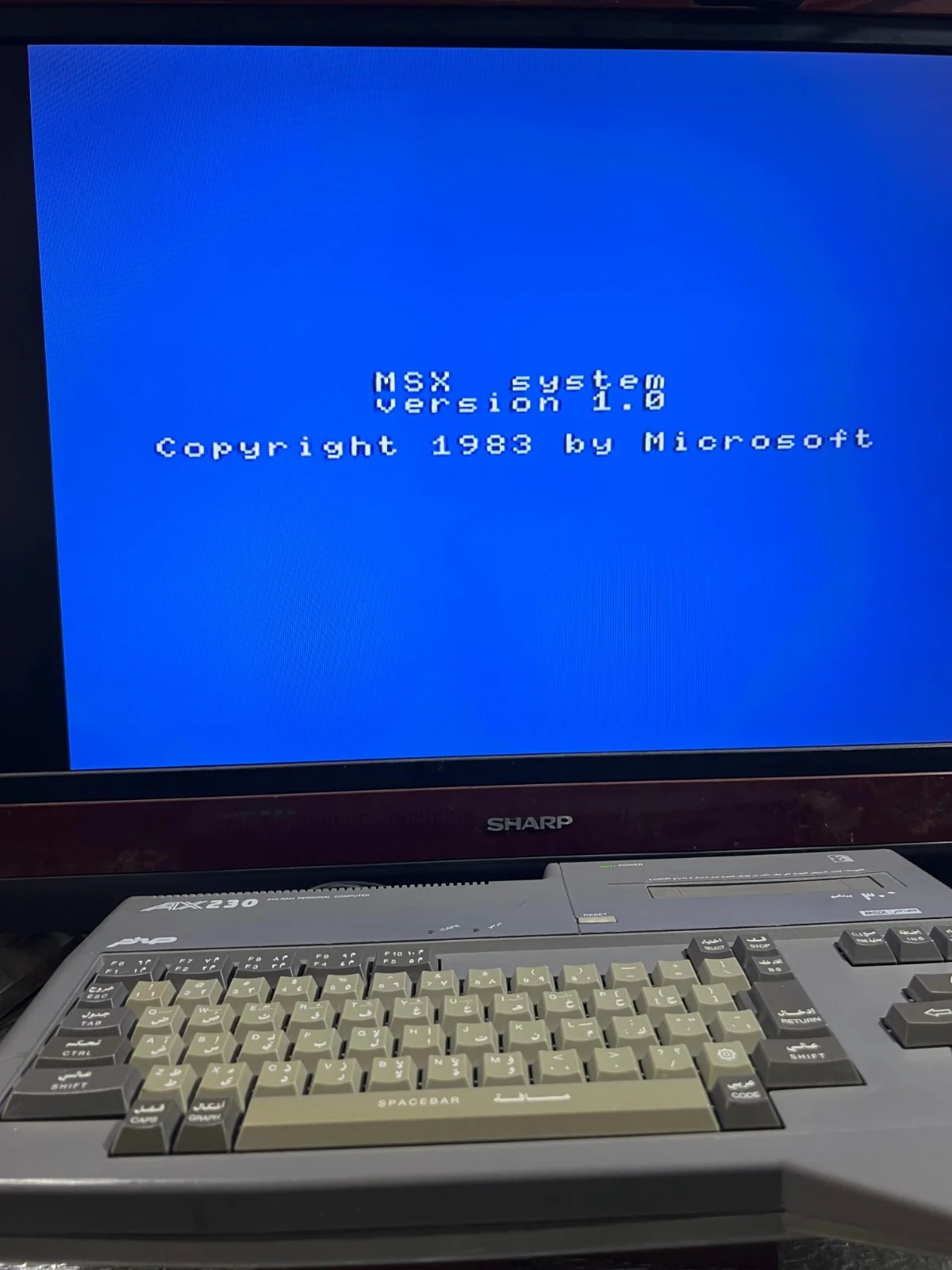 Sanyo Wavy AX230 Computer