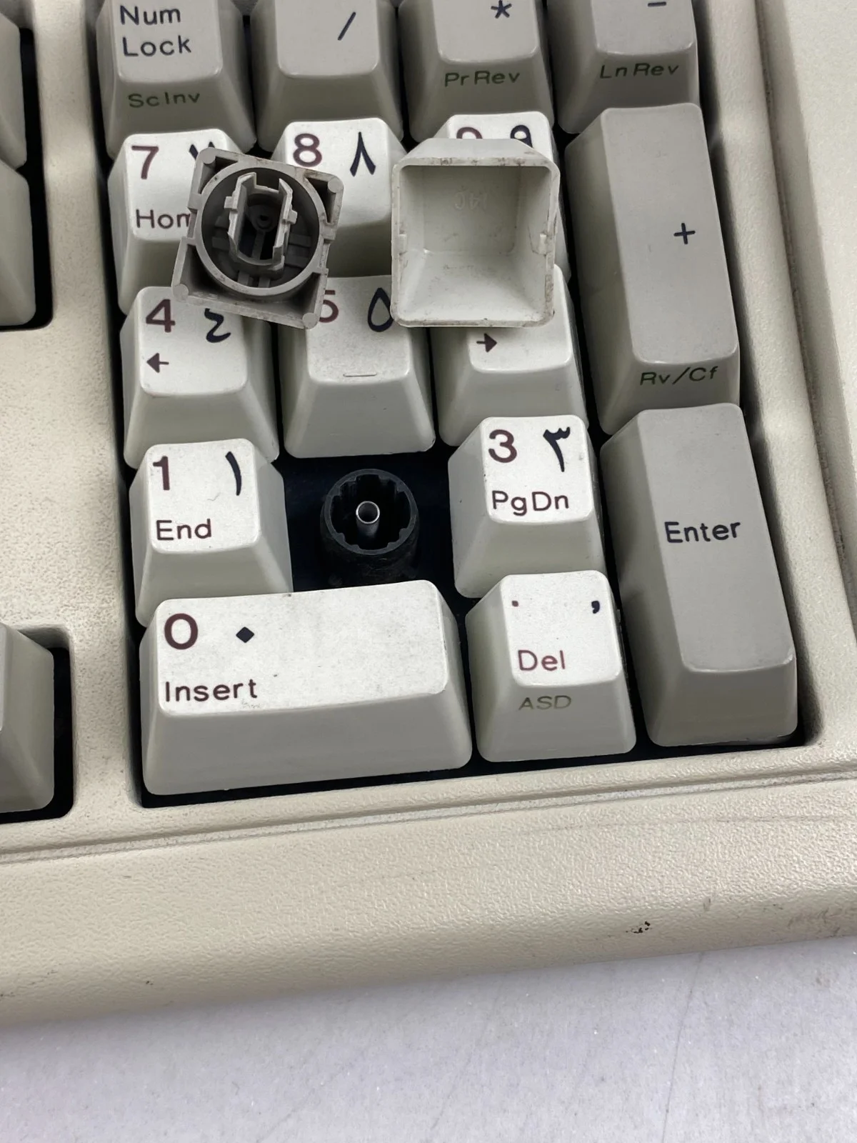 IBM Model M Keyboard #2