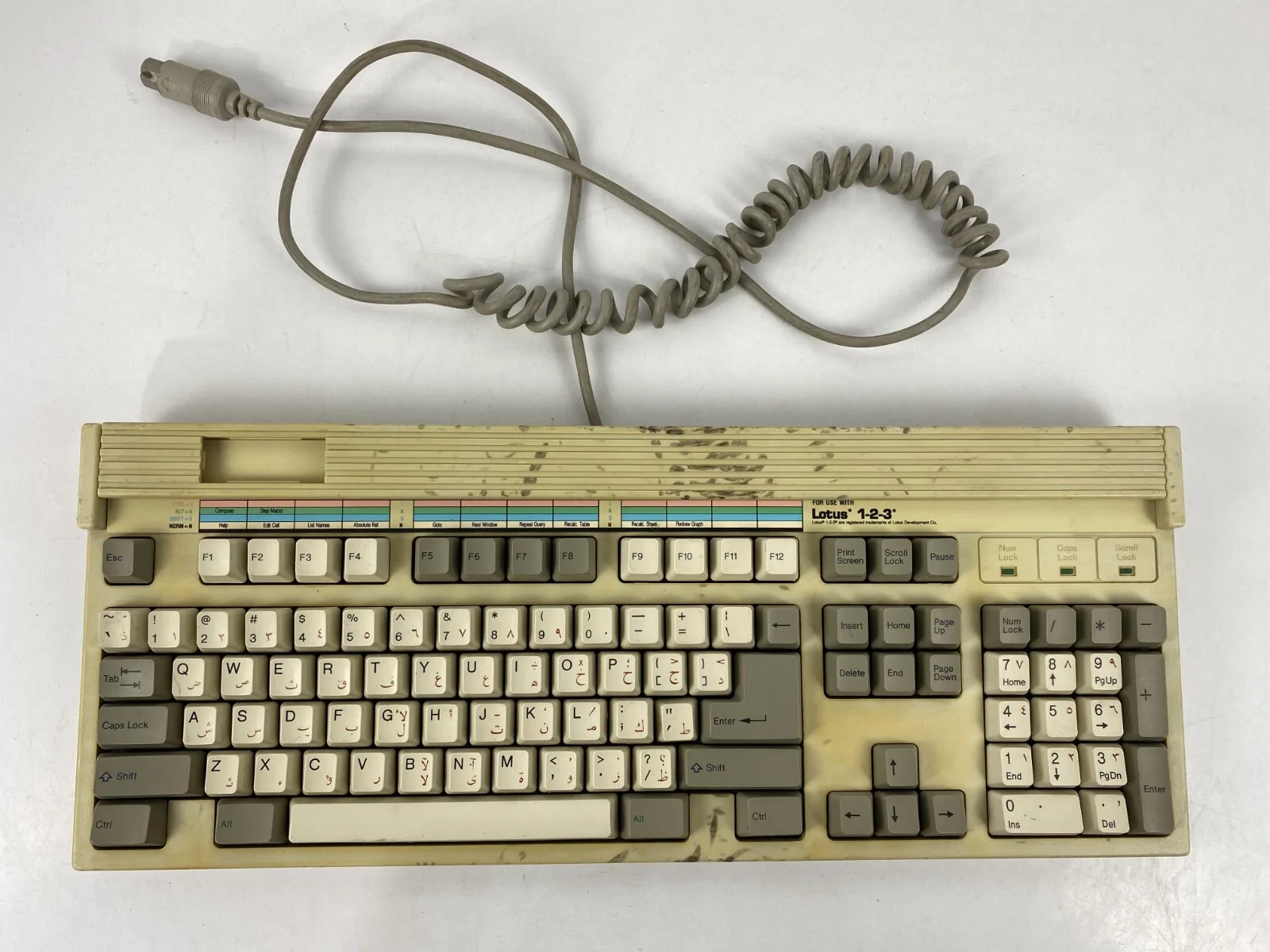 كيبورد أورتيك شخصي محسن MCK-101 Alps Skcm أبيض