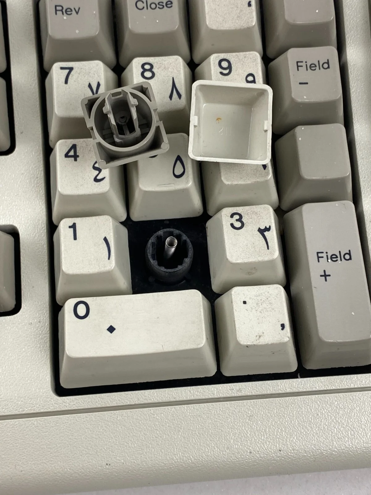 IBM Model M Keyboard #1