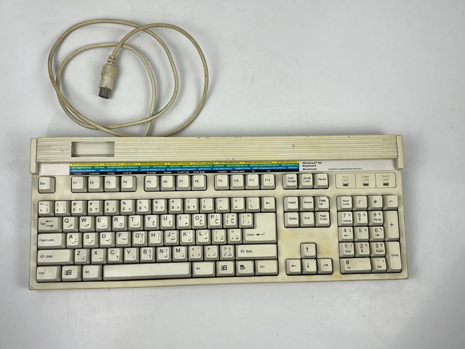 Ortek Personal Computer Enhanced keyboard MCK-101 Alps Skcm White
